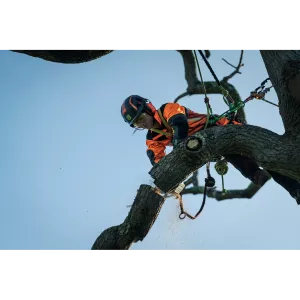 Obrázek #3 k produktu HUSQVARNA T540i XP® bez akumulátoru a nabíječky 