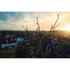 Obrázek #4 k produktu HUSQVARNA T540i XP® bez akumulátoru a nabíječky 