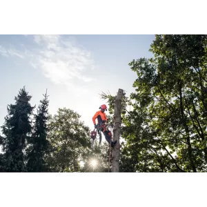 Obrázek #4 k produktu Klín Arborist 4" 