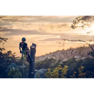 Obrázek #5 k produktu Klín Arborist 4" 